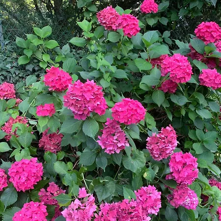 Apartamento Rokia - Au Fil De L*eau *